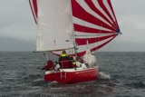 whw11 sun 2834